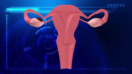 张女士的故事：攻克子宫内膜异位，倾听宝宝胎心奏鸣